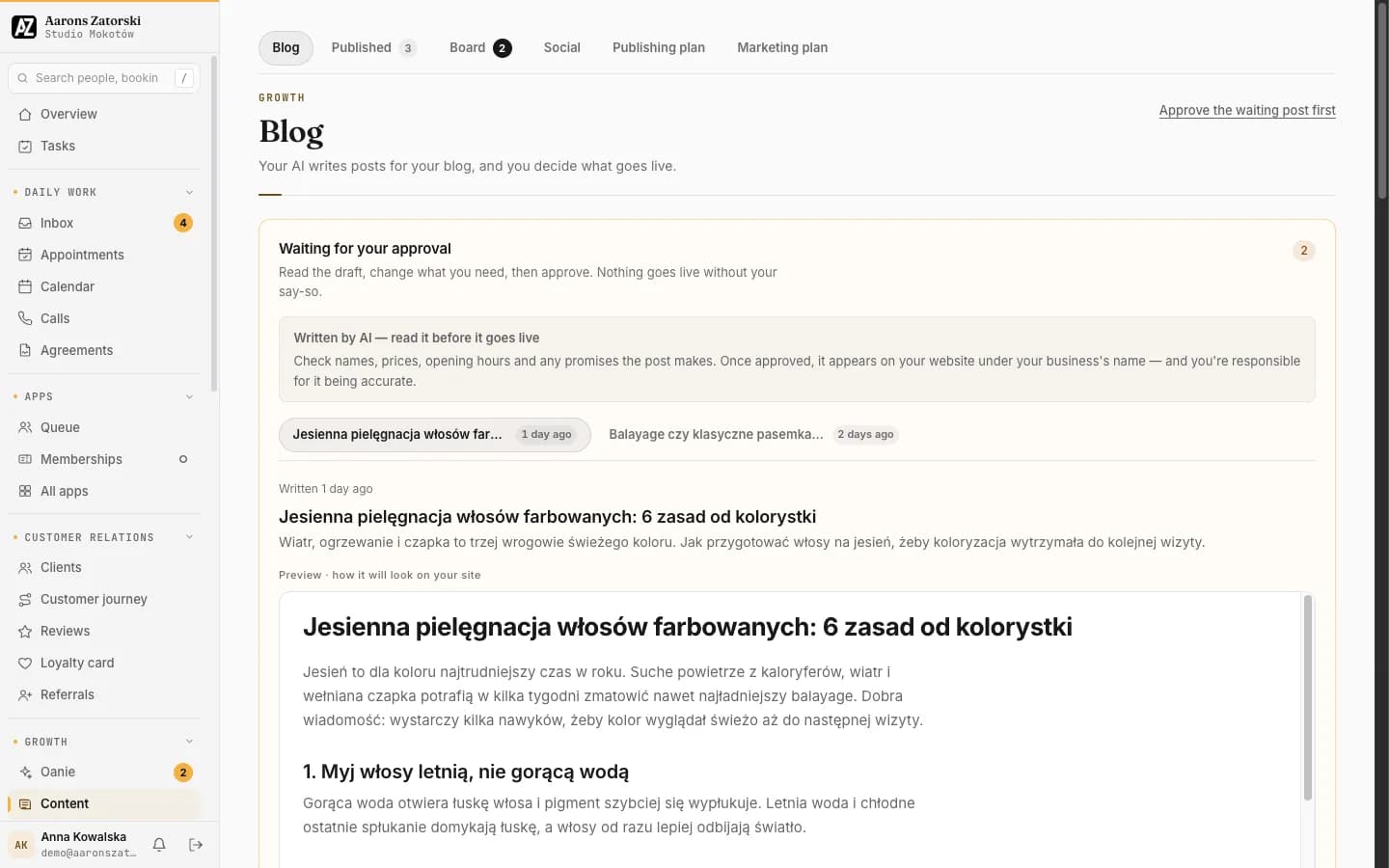 Blog: The AI writes posts for the blog; the business decides what goes live.